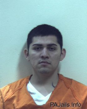 Erik  Flores Arroyo Mugshot